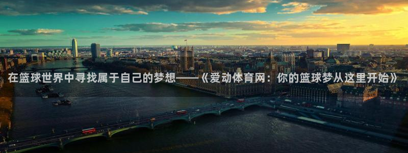 在篮球世界中寻找属于自己的梦想——《爱动体育网：你的篮球梦从这里开始》