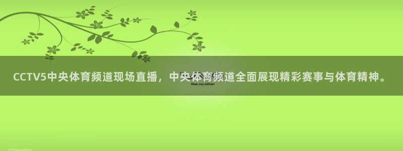 CCTV5中央体育频道现场直播，中央体育频道全面展现精彩赛事与体育精神。