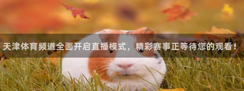 天津体育频道全面开启直播模式，精彩赛事正等待您的观看！