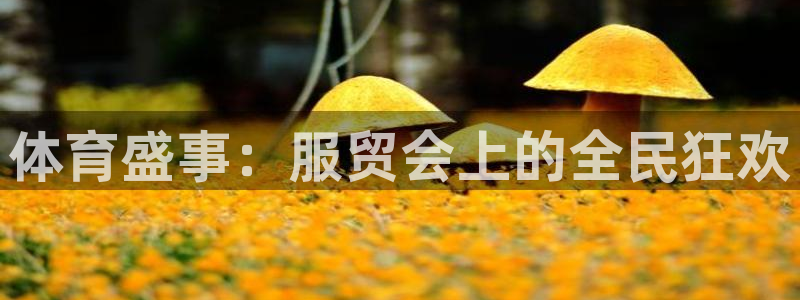 体育盛事：服贸会上的全民狂欢