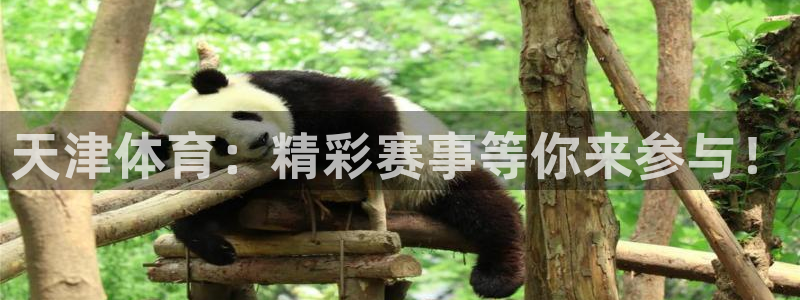 天津体育：精彩赛事等你来参与！