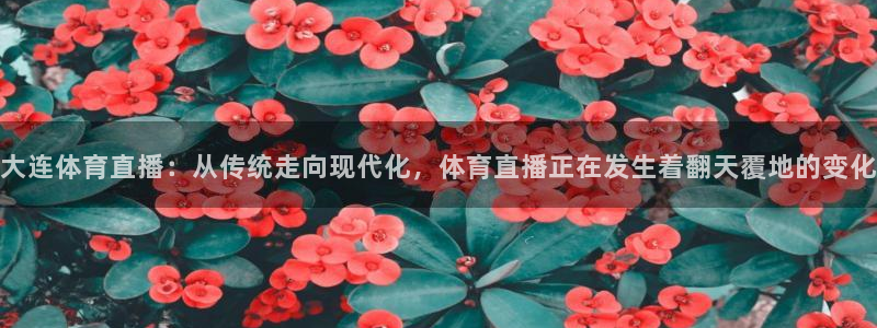 大连体育直播：从传统走向现代化，体育直播正在发生着翻天覆地的变化