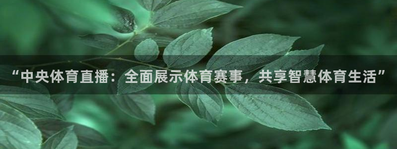 “中央体育直播：全面展示体育赛事，共享智慧体育生活”