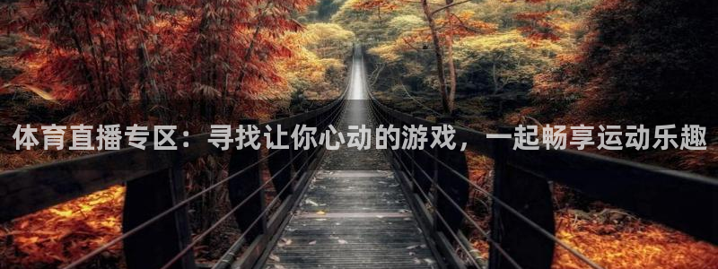 体育直播专区：寻找让你心动的游戏，一起畅享运动乐趣